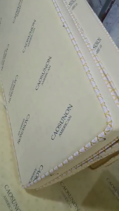 Nệm american dày 10cm gấp 2 gấp 3 không gấp Nệm êm đàn hồi tối đa - Tặng 2 gối nằm ép hơi