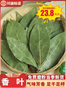 Large Leaf Guangxi Fragrant Spice 500g Pack Remove Fishy Flavor Enhance Taste Increase Fragrance Cooking Seasoning Ingredient