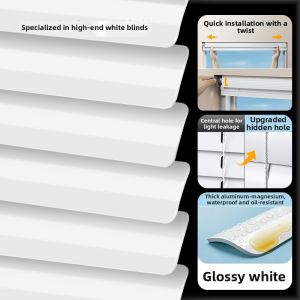 No Drilling Light Blocking Roller Shade Modern
