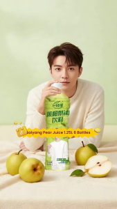[Yi Zhi Bi] Laiyang Pear Juice Beverage 1.25L x 6 Bottles Singapore | Ready Stock