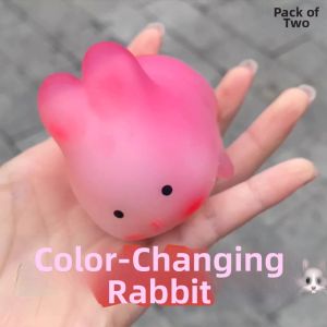 Light Changing Anti-Stress Toy