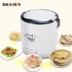 Electric Mini Rice Cooker & Portable MultiCooker: A Comprehensive Guide