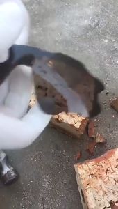 Kacamata pelindung Bersepeda Kacamata Sepeda Kacamata Kacamata Menjalankan Memancing