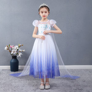 Elsa Costume Princess Dress