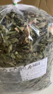 Bồ công anh nguyên lá phơi được nắng xanh ngắt nấu lên thơm ơi là thơm uống lại ngon tốt cho sức khỏe