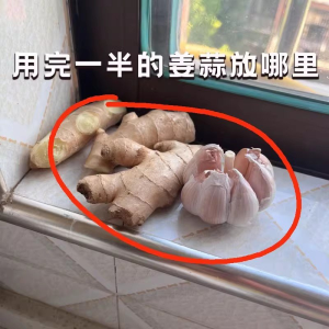 Wall-Mounted Storage Solutions: Enhancing Your Home's Efficiency