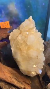 Ổ đá thạch anh vàng Citrine hình núi pha lê tán sắc lấp lánh tự nhiên vũ trụ kèm đế gỗ năng lượng mã 490