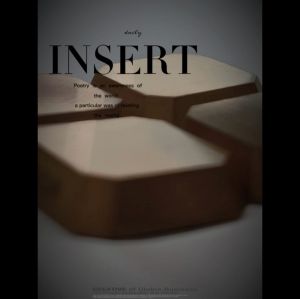 INSERT / 10PCS PER BOX