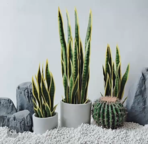 SNAKE PLANT Artificial Plant Artificial Flower Faux Greenery Potted Plant Home Decoration Indoor Outdoor Decorative Plants for Living Room Bedroom Office Desk Tabletop Garden Café Event Wedding Artificial Decorative Plant Ornament Accessories