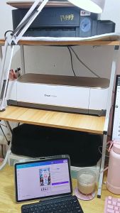 Home Printer Racks Office Desk Double Layer Storage Rack Kitchen Microwave Pot Rack Space Saver Desktop Organizer Office Printer Stand