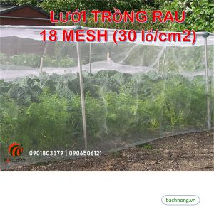 Lưới ngăn côn trùng trồng rau lưới ngăn ruồi vàng đục trái cho cây ăn quả bán theo cuộn (18 mesh)