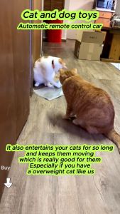 Remote Control Electric Cat Toy Interactive Cat Self Happiness And Boredom Relief Toy Intelligent R