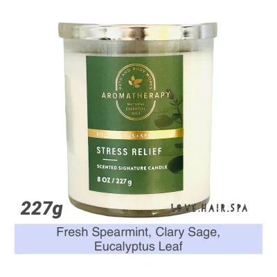 SG Stock ⭐️ EUCALYPTUS SPEARMINT 227g Bath & Body Works 1-Wick Scented Candle Home Fragrance Bath BodyWorks White Barn