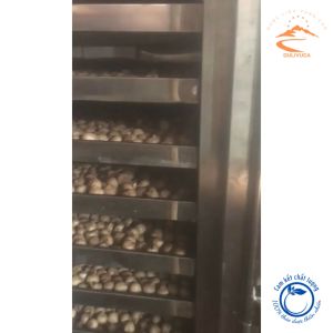 Tỏi đen cô đơn loại 1 tỏi đen một nhánh Yên Châu Sơn La đặc sản tỏi đen 1 nhánh Tây Bắc lên men tự nhiên