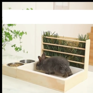 3 IN 1 Wooden Rabbit/Hamster/Guinea Pig Feeder Hay Feeder Hay Feeder RackRabbit Food Feeding Bowl