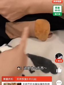 KEYCHAIN CAPYBARA DOLL: Aksesoris Unik untuk Gantungan Tas Anak & Dewasa