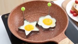 DuduMart Stainless Steel Omelet Creative Poached Egg Mold KItchen Tool Form Cooking Pancake Maker