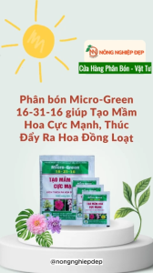 Siêu Kích Hoa 16-31-16 Micro Green Gói 10g - Phân Bón NPK Tạo Mầm Hoa