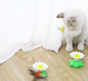 ToyVille ของเล่นแมวไฟฟ้า ผีเสื้อบินอัตโนมัติ ของล่อแมว ของเล่นแมวหมุนอัตโนมัติอัจฉริยะ