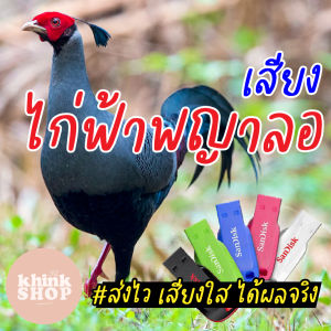 แฟลชไดร์ฟเสียงต่อไก่ฟ้าพญาลอ เสียงไก่ฟ้าพญาลอ เสียงต่อไก่ฟ้าพญาลอ เมมเสียงไก่ฟ้าพญาลอ