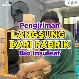 BIO INSULEAF - Bantu Atasi DIABETES Bantu Menurunkan KADAR GULA DARAH Dan Obati KENCING MANIS - ORI