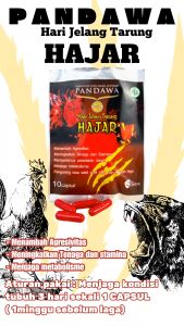 PANDAWA HAJAR  Doping ayam / jamu ayam- hari jelang tarung