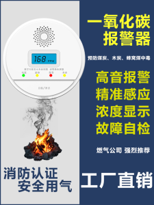 Indoor Outdoor Home Use Coal Hive Carbon Monoxide Detector CO Concentration Alarm Device Portable Gas Monitoring System