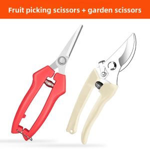 LECAN | Pruning Shears for Branches and Flowers