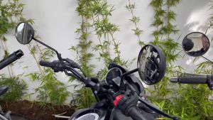 Cặp Gương Hậu Yamaha Xsr155 10cm