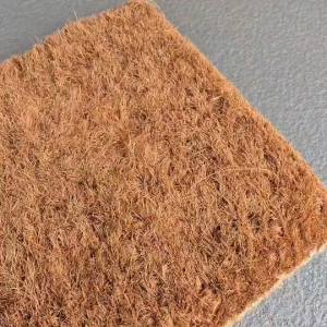 พรมดักฝุ่น พรมเช็ดเท้าใยมะพร้าว ขนาด 13*19 นิ้ว อย่างหนา และใหญ่ ดักฝุ่นจากพื้นรองเท้า ดักฝุ่นได้จริง