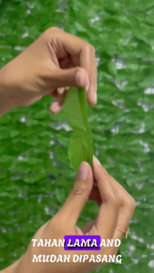 Rumput Dinding Sintetis Dekorasi Dinding Daun Rambat Pagar 3 Meter x 1 Meter Premium