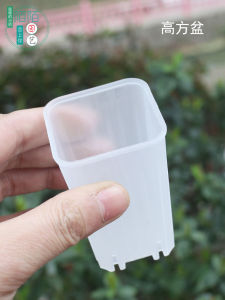 Chậu Hoa Nhựa Nhỏ 5cm Chậu Mini Để Bàn Chậu Treo Tường Bằng Nhựa Phong Cách Hiện Đại Chậu Xanh Lá Cây Đa Năng Chậu Nhựa Chống Thấm Nước