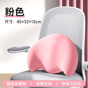 Sliey Office Seat Back Support Pillow Memory Foam Lumbar Support Cushion for Pregnant Women And Desk Workers Back Pain Relief