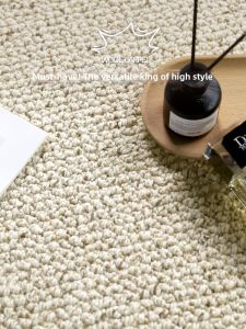 Luxurious Modern Minimalist Solid Color Carpet