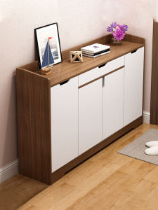 Economical Storage Shoe Cabinet With Drawer