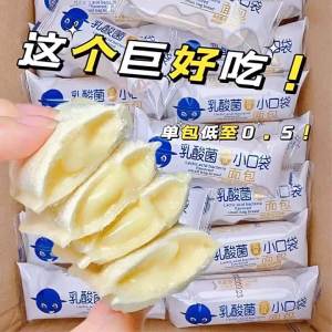Lactobacillus Filled Pocket Bread