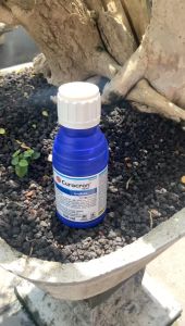 CURACRON 500 EC 100 ML INSEKTISIDA PEMBASMI HAMA DAN KUTU PUTIH