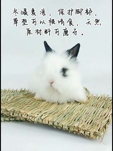 ที่นอนหญ้าถัก กระต่าย ที่นอนกระต่าย ที่นอนสัตว์เลี้ยง ที่นอนสัตว์ฟันแทะ เสื่อหญ้าสำหรับกระต่าย ของเล่นลับฟันกระต่าย