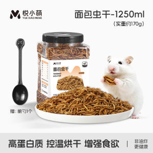 Đồ Dùng Cho Mèo Hamster Tự Động Cung Cấp Thức Ăn Và Nước Cho Gấu Vàng Hai Trong Một Đồ Dùng Toàn Diện Cho Thú Cưng