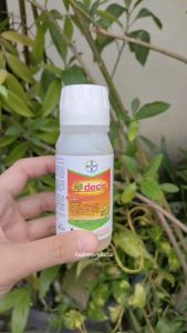 BAYER - insektisida DECIS 100 ml - obat hama ulat obat hama belalang obat hama thrips dan kutu putih Pengendalian Hama Tanaman Efektif Solusi Pertanian Ramah Lingkungan - Lazada