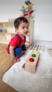 Đồ chơi giáo dục - Bóng đẩy bằng gỗ dành cho bé từ 06-09 tháng