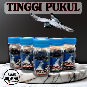JAMU MERPATI TINGGI PUKUL ISI 120-100-75-50 BUTIR extrak gingseng teki pil alus pil edan over keket