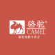 Camel Shijue Specialty Store