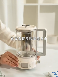 KALSTONE Multifunctional Health Kettle 0.6L Household Office Stew Kettle Small TeapotTea Maker Gift