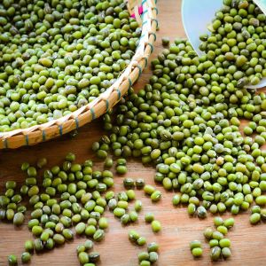 KACANG HIJAU FRESH | KACANG HIJAU SUPER | KACANG HIJAU LANGSUNG DARI PETANI | KACANG HIJAU FRESH PROMO DISKON
