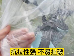 Penutup Motor Bike Cover Motorcycle Motorbike Cover Transparen anti Rain Dust 透明摩多车衣