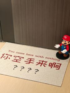 Entrance Door Mat Funny Anti-Slip Water Resistant Door Mat PVC Material Modern Simple Style Home Use Living Room Mat