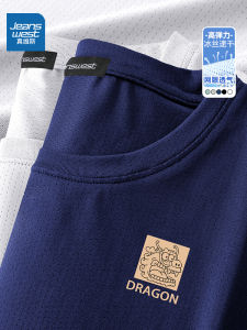 Jeanswest Ice Silk Quick Dry Short Sleeve T-Shirt Mens Summer 2024 New Mesh Breathable Casual Top Polyester Spandex Blend