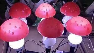SXH  Solar Energy 8 Functional Mushroom Ground Lamp Easter LED Crack Mushroom Courtyard Decorative Lamp Outdoor Lawn Lamp