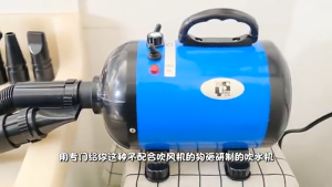 Heavy duty pet hair dryer3200W Heavy Duty Professional Table Grooming Dryer Blower for Dogs and Cats (Pet Shop Recommended)-SIP